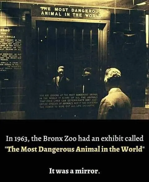 1963