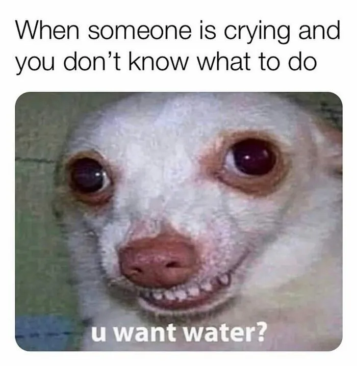 50 Funny Memes That Are All Too Relatable, Shared By This Instagram Page
