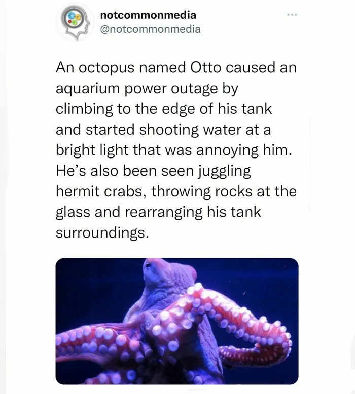 50 ‘Not Common Facts’ Shared By This Instagram Page With 7.2M Followers