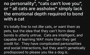 On This Instagram Page, People Share Unpopular Opinions And Here Are 50 Of The Most Polarizing Ones (New Posts)