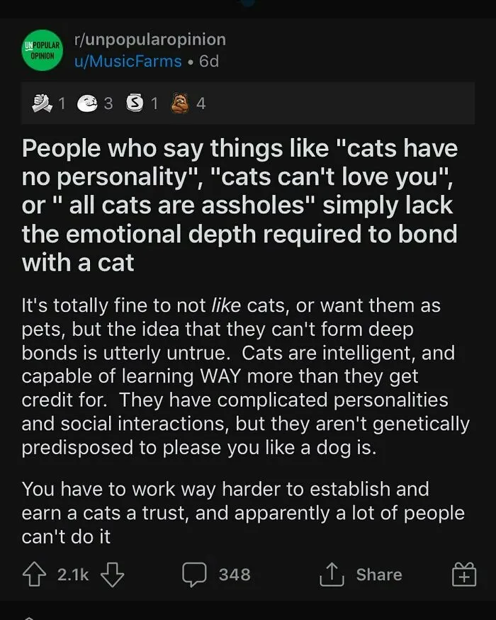 Do You Like Cats ?