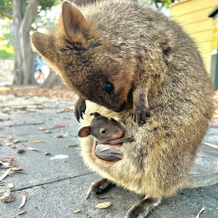 Look At That Little Face