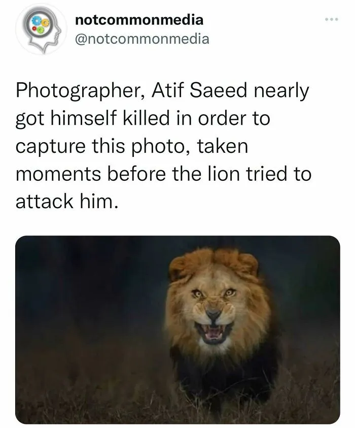 50 ‘Not Common Facts’ Shared By This Instagram Page With 7.2M Followers