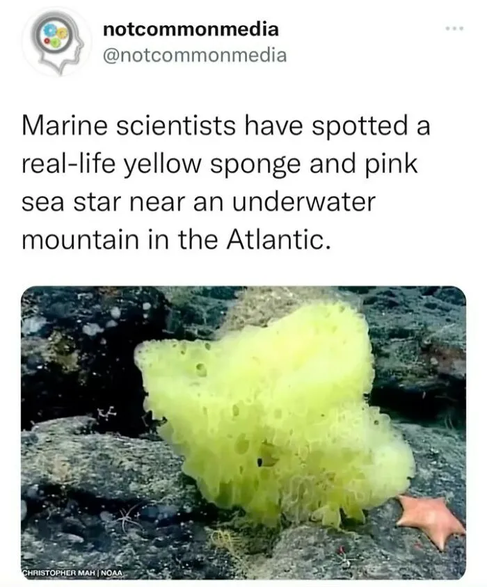 50 ‘Not Common Facts’ Shared By This Instagram Page With 7.2M Followers