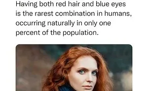 50 ‘Not Common Facts’ Shared By This Instagram Page With 7.2M Followers