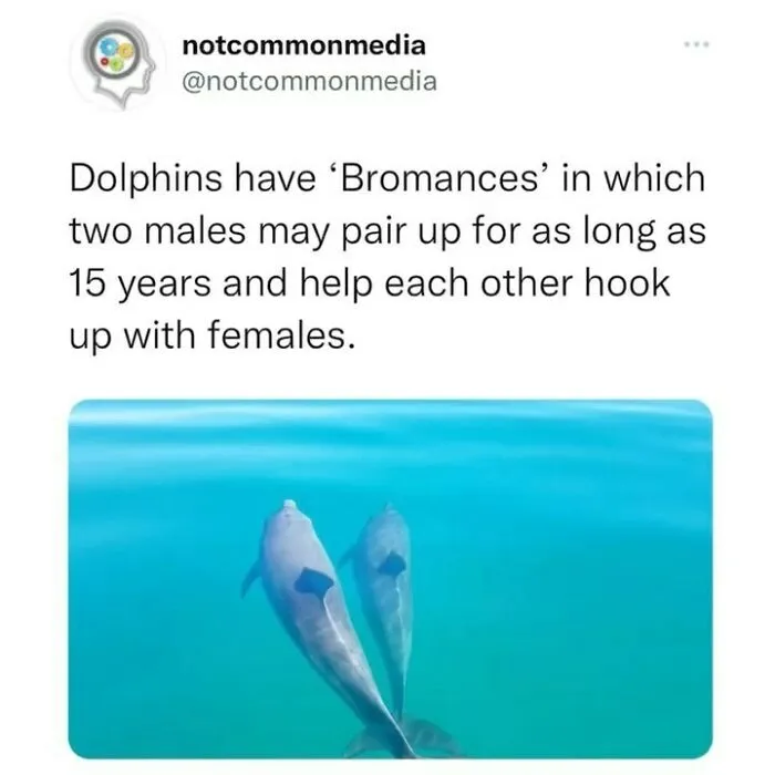 50 ‘Not Common Facts’ Shared By This Instagram Page With 7.2M Followers