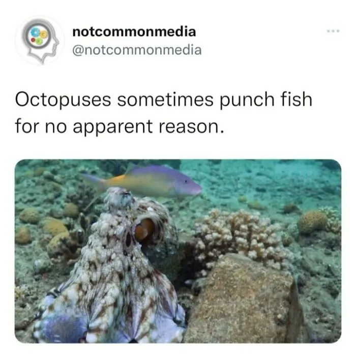 50 ‘Not Common Facts’ Shared By This Instagram Page With 7.2M Followers