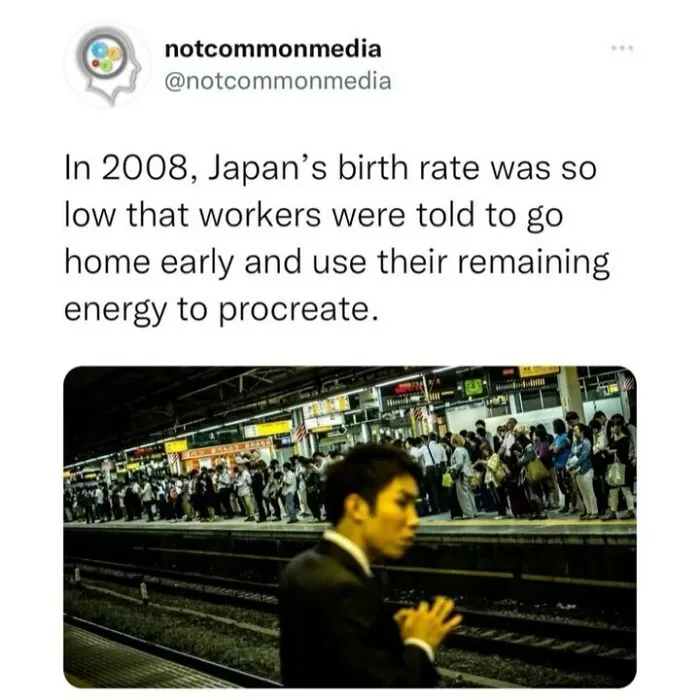 50 ‘Not Common Facts’ Shared By This Instagram Page With 7.2M Followers