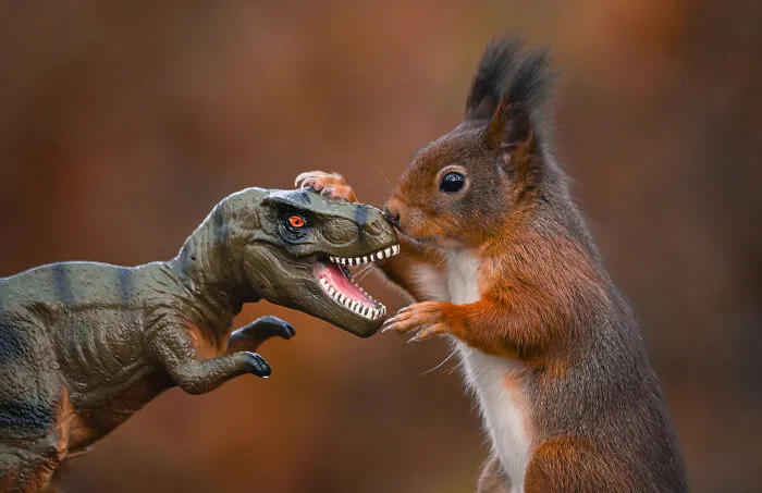 19 Pictures Of Squirrels Interacting With Dinosaurs Taken By Me