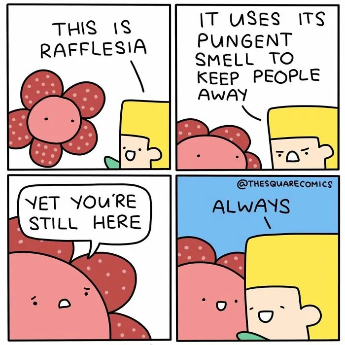 30 Comics That Are Perfect For People Who Have A Dark Sense Of Humor By The Square Comics (New Pics)