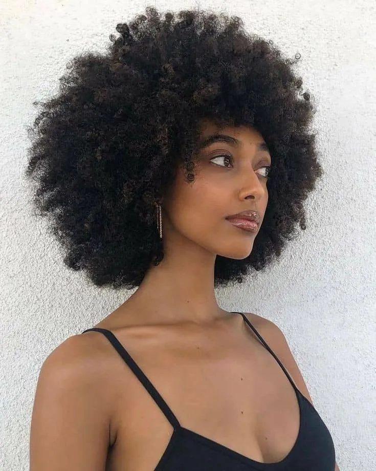 Best 4c Coily Hairstyles That Will Glow Your Natural Look: Indique Hair
