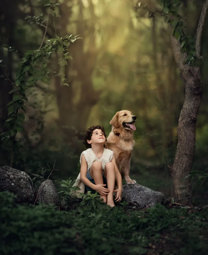 The Sounds Of The Forest