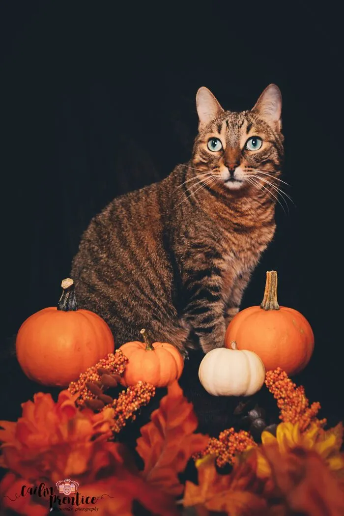 Auster During Our Halloween Photoshoot