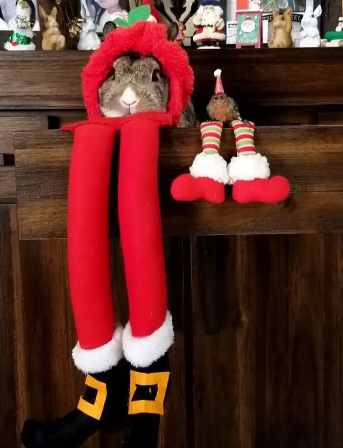 Dot Amd Sticky On The Shelf
