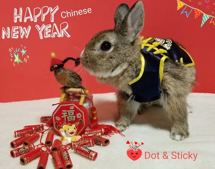 Hope 2022 Brings You Lots Of Love & Luck