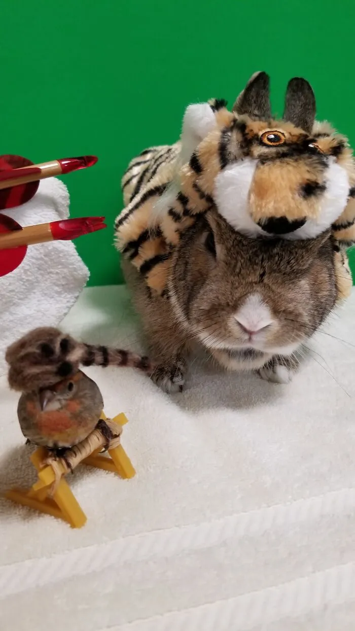 The Hunter Amd The Tiger