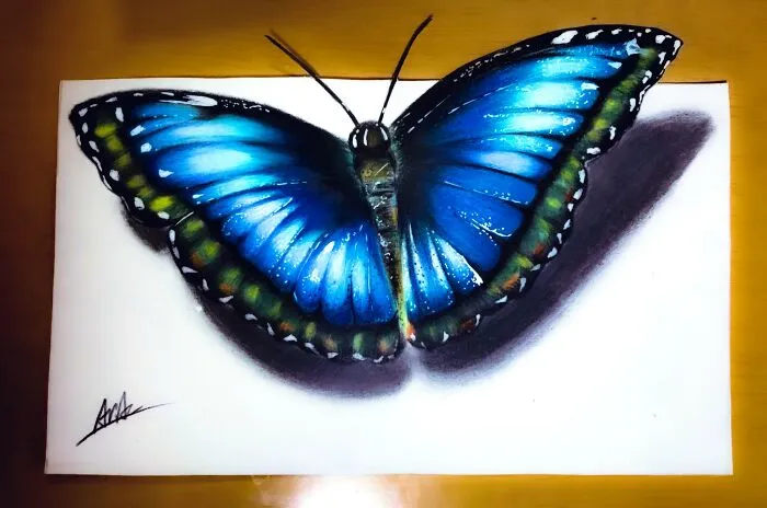 30 Drawings By This Japanese Artist That Look Like Optical Illusions