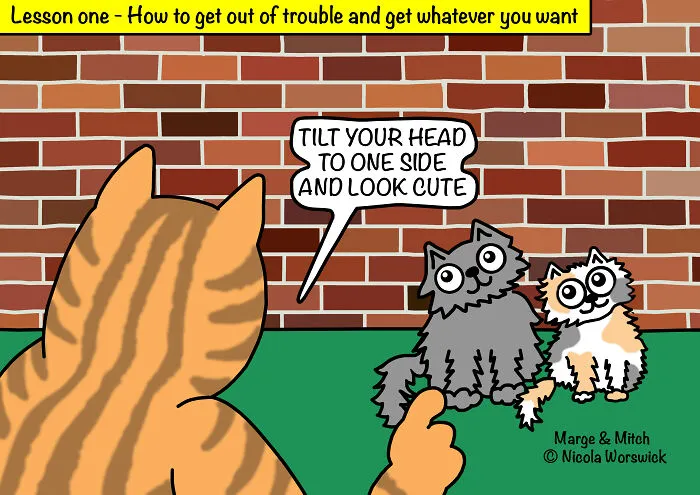 Lesson One - How To Get Out Of Trouble And Get Whatever You Want