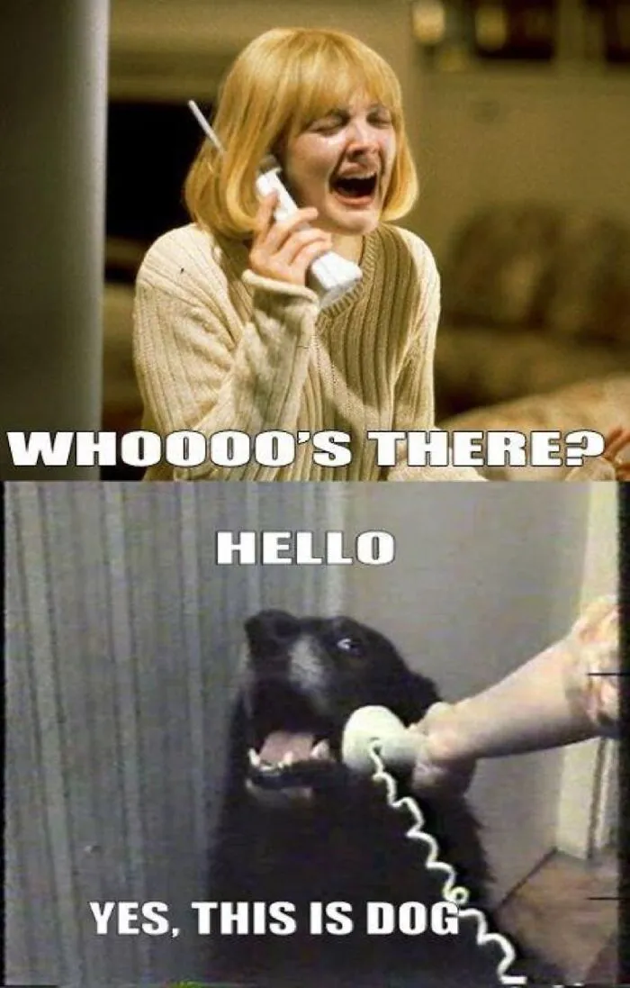 Who Is Thereeee