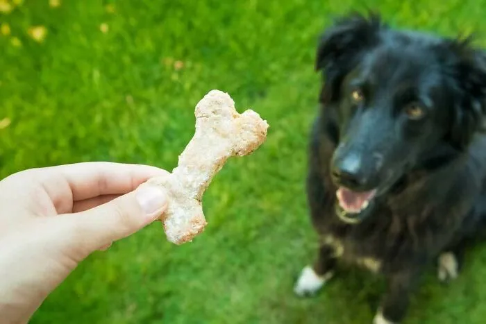 For Me?