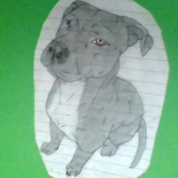 Hey Pandas, Draw Your Pet(S)