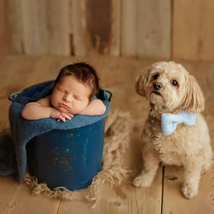 I Love It When Families Bring Their Pups To Their Photo Sessions And Here Are 18 Photographs I Took