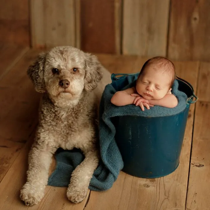 I Love It When Families Bring Their Pups To Their Photo Sessions And Here Are 18 Photographs I Took