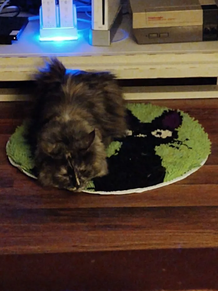 Kitty