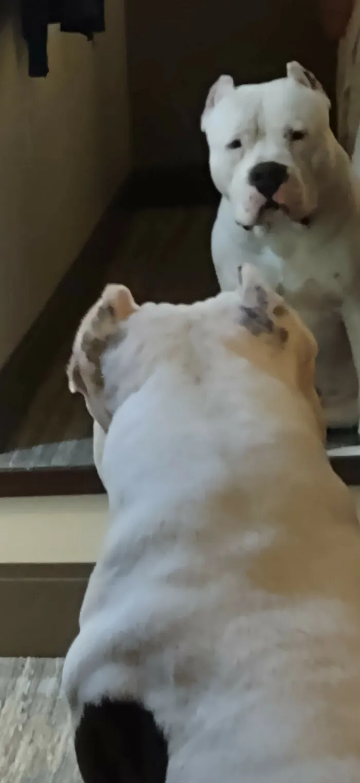 Look Mom, Isn't He Handsome?