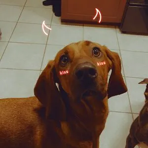rawr.