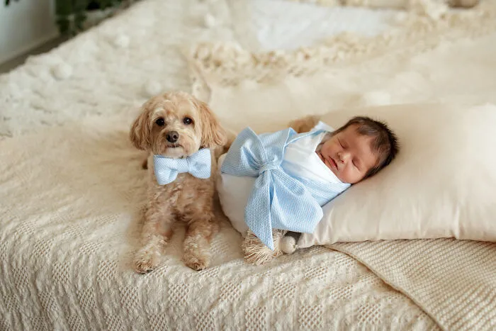 I Love It When Families Bring Their Pups To Their Photo Sessions And Here Are 18 Photographs I Took
