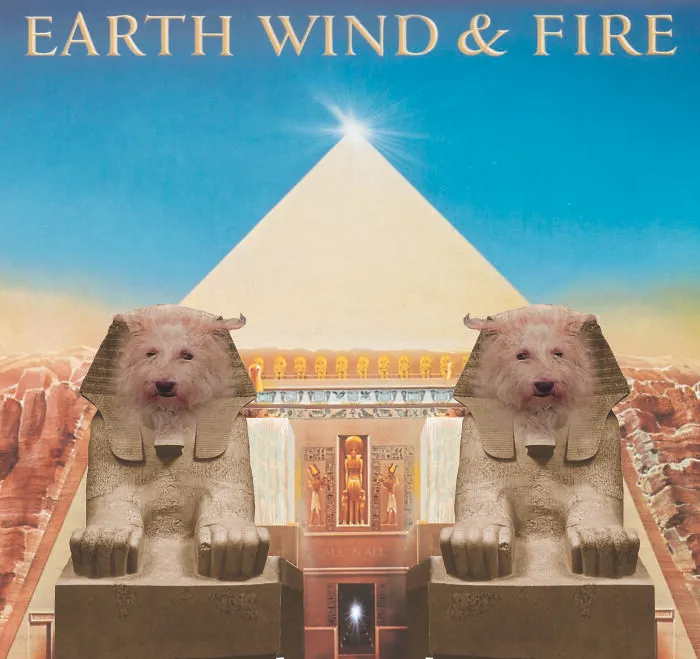 "All N All" By Earth, Wind, And Fire Ft. Haggis