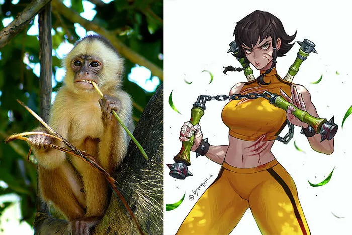 Shock-Headed Capuchin