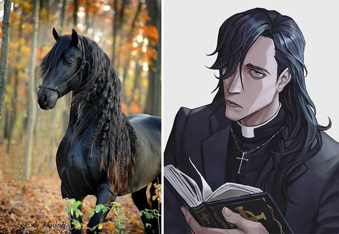 Friesian Horse