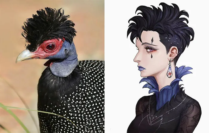 Guineafowl