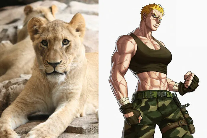 Lioness