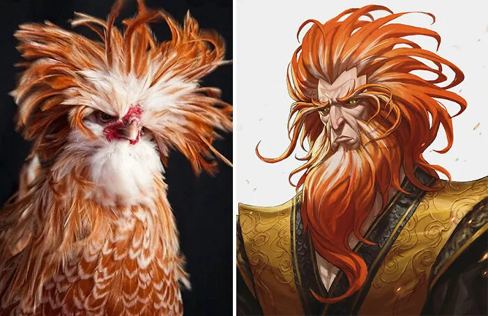 Polish Chicken
