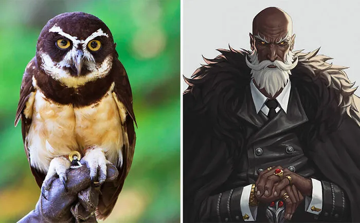 Spectacled Owl