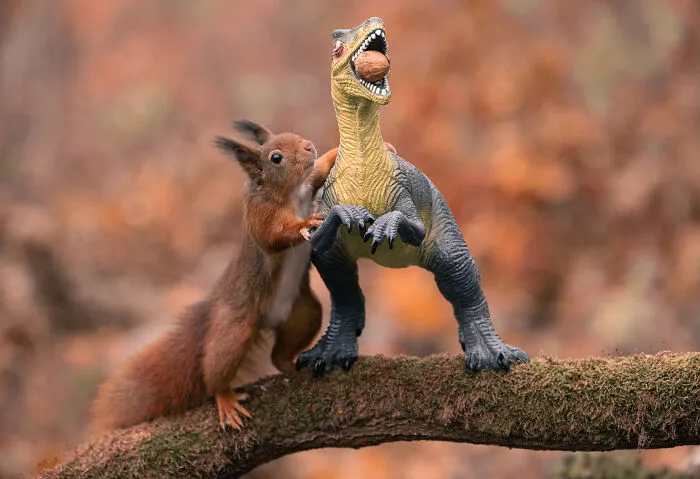 19 Pictures Of Squirrels Interacting With Dinosaurs Taken By Me