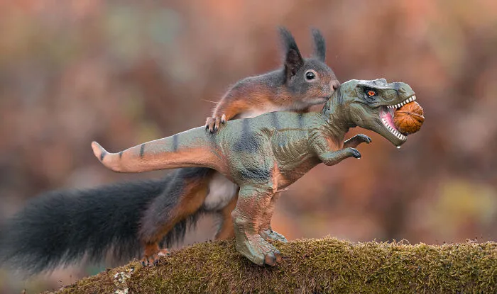 19 Pictures Of Squirrels Interacting With Dinosaurs Taken By Me