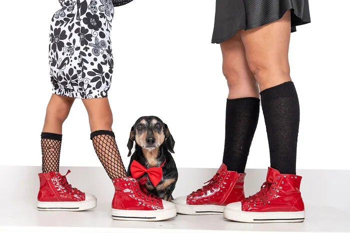 Red Shoes