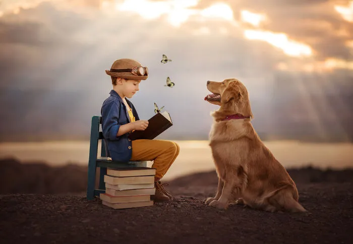 Books Allow Us To Use Our Imagination