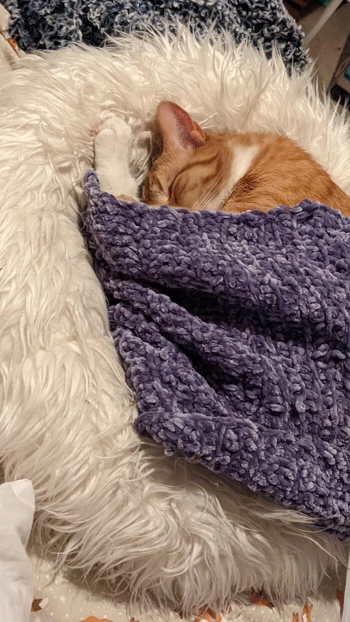 Cozy Boy