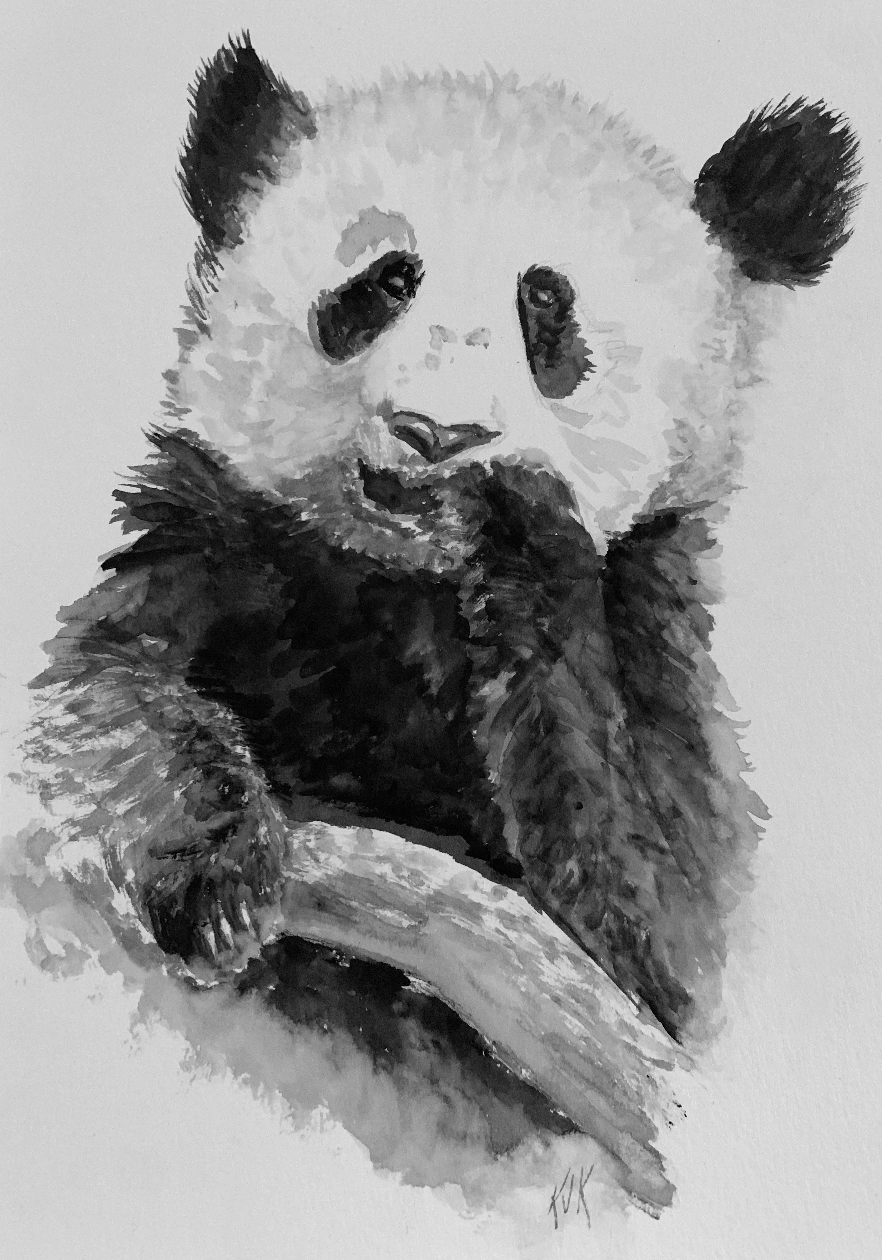 Curious Panda Cub