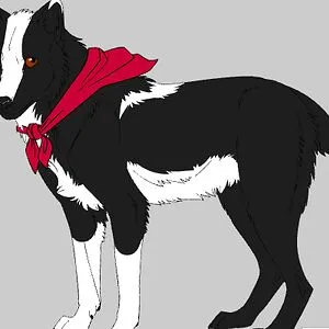 DogGoneOlive