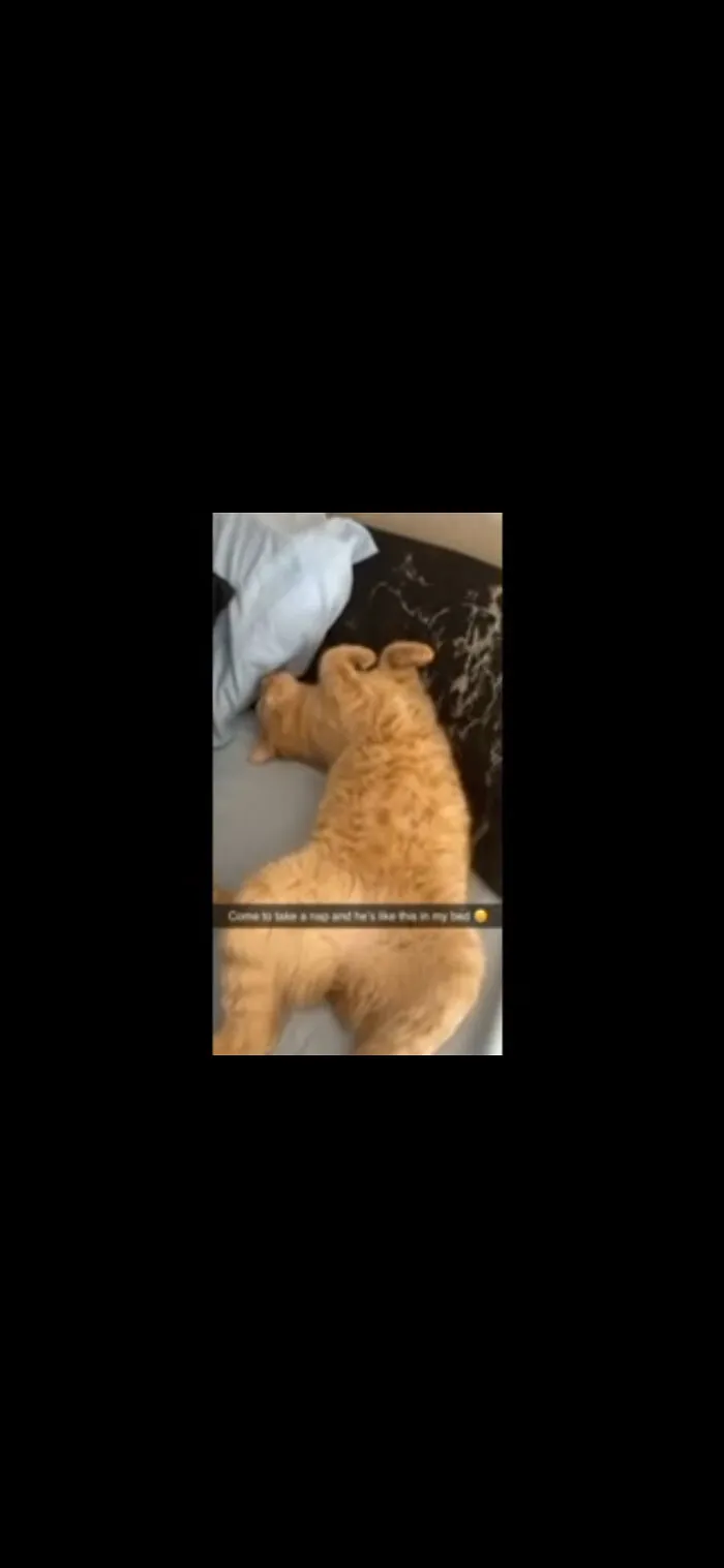 When Dutch Hogs The Bed...
