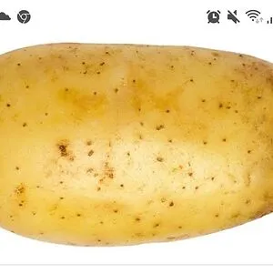 Bored potato
