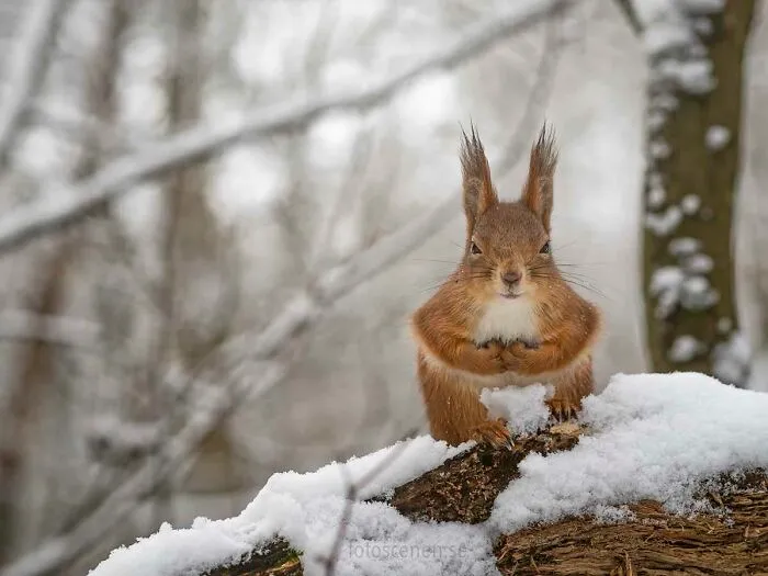 Sitting In A Winter Wonderland
