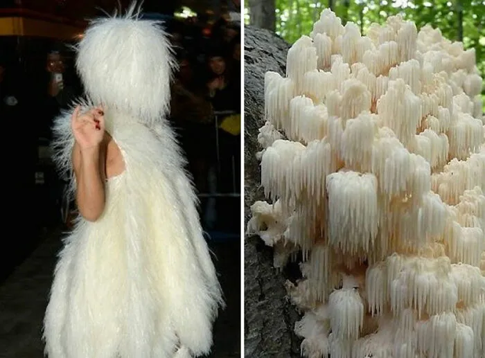 This Girl Is Comparing Lady Gaga's Looks To Mushrooms, And The Resemblance Is Surprising (20 Pics)