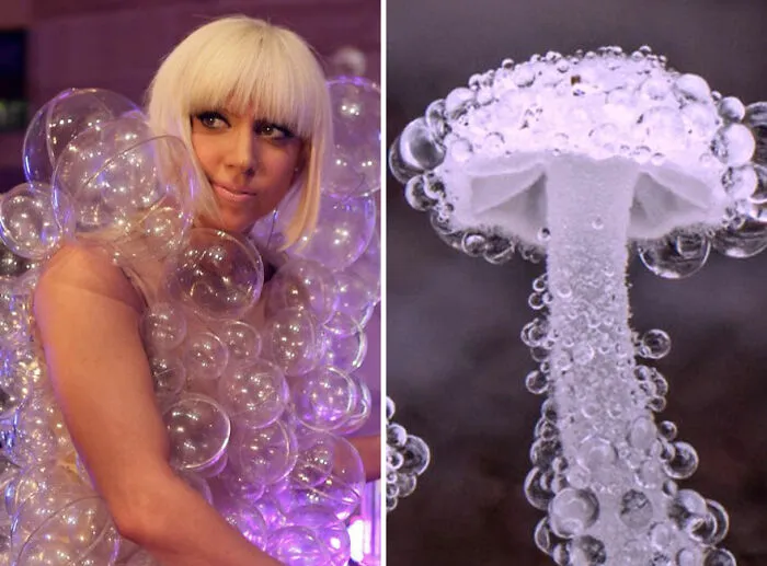 This Girl Is Comparing Lady Gaga's Looks To Mushrooms, And The Resemblance Is Surprising (20 Pics)